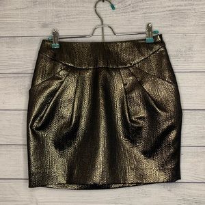 NWT Annie Griffin Skirt WITH POCKETS! Size 4